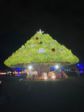 東京メガイルミに投稿された画像（2023/11/11）