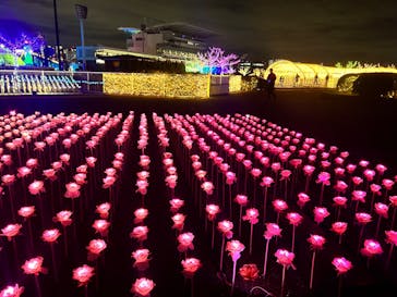 東京メガイルミに投稿された画像（2023/11/11）