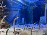 名古屋港水族館に投稿された画像（2023/11/11）