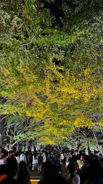 国営昭和記念公園 秋の夜散歩に投稿された画像（2023/11/11）