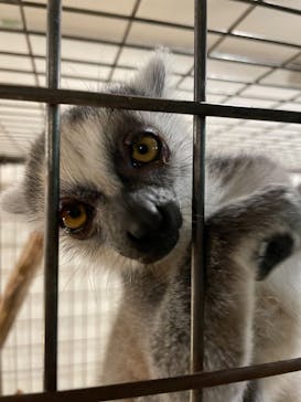 伊豆シャボテン動物公園に投稿された画像（2023/11/11）