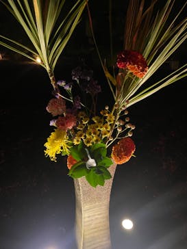 NAKED meets 二条城 2025 観月に投稿された画像（2023/11/11）