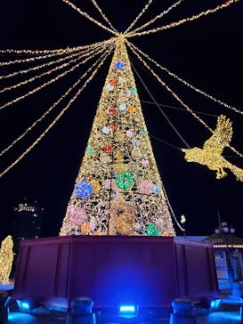 フェスタ・ルーチェに投稿された画像（2023/11/11）