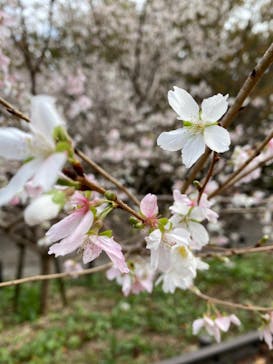 名古屋市東山動植物園に投稿された画像（2023/11/11）