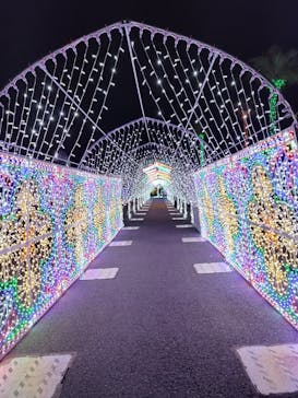 フェスタ・ルーチェに投稿された画像（2023/11/11）