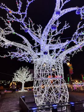 フェスタ・ルーチェに投稿された画像（2023/11/11）