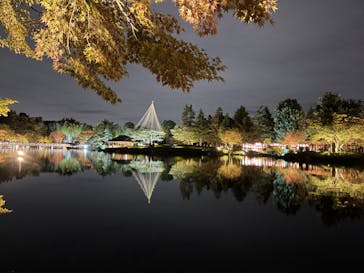 国営昭和記念公園 秋の夜散歩に投稿された画像（2023/11/11）