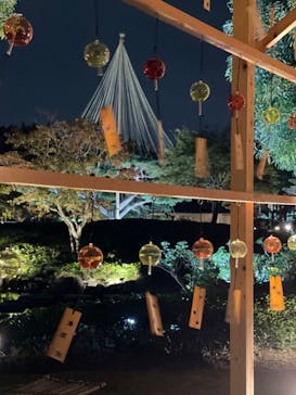 国営昭和記念公園 秋の夜散歩に投稿された画像（2023/11/11）