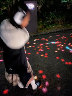 国営昭和記念公園 秋の夜散歩に投稿された画像（2023/11/11）