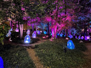 チームラボどんぐりの森の呼応する生命に投稿された画像（2023/11/11）