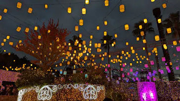 ひらかたパークに投稿された画像（2023/11/11）