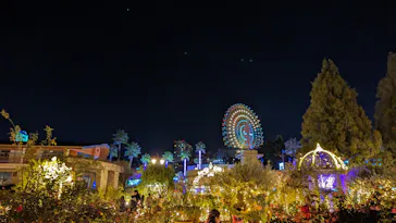 ひらかたパークに投稿された画像（2023/11/11）