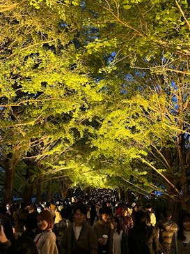 国営昭和記念公園 秋の夜散歩に投稿された画像（2023/11/11）