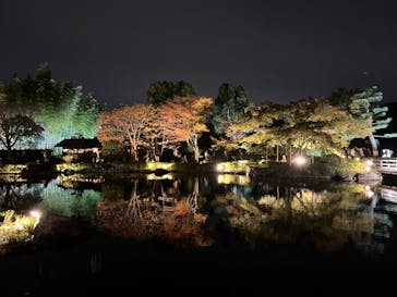 国営昭和記念公園 秋の夜散歩に投稿された画像（2023/11/11）