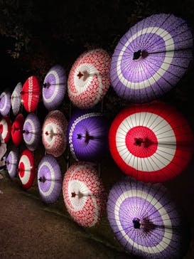 国営昭和記念公園 秋の夜散歩に投稿された画像（2023/11/11）