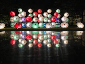 国営昭和記念公園 秋の夜散歩に投稿された画像（2023/11/11）