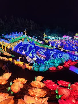 伊豆ぐらんぱる公園に投稿された画像（2023/11/11）