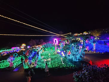 伊豆ぐらんぱる公園に投稿された画像（2023/11/11）