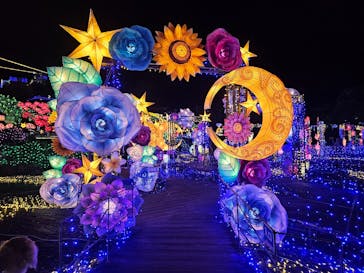 伊豆ぐらんぱる公園に投稿された画像（2023/11/11）