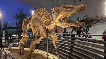 福井県立恐竜博物館に投稿された画像（2023/11/11）