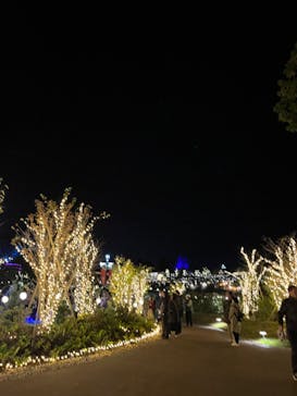 いばらきフラワーパークに投稿された画像（2023/11/11）