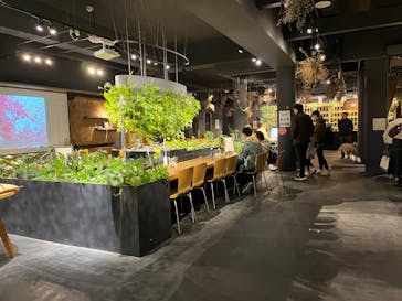 いばらきフラワーパークに投稿された画像（2023/11/11）