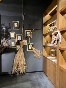 いばらきフラワーパークに投稿された画像（2023/11/11）