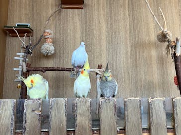 Moff animal cafe 小田原ダイナシティ店に投稿された画像（2023/11/11）