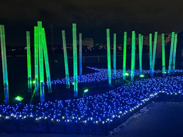 東京メガイルミに投稿された画像（2023/11/11）