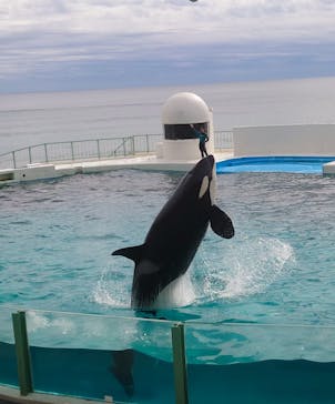 鴨川シーワールドに投稿された画像（2023/11/11）