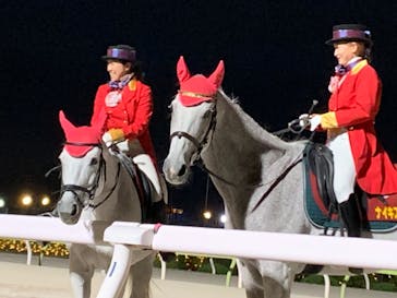 東京メガイルミに投稿された画像（2023/11/11）