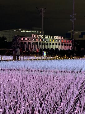 東京メガイルミに投稿された画像（2023/11/11）