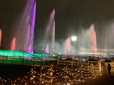 東京メガイルミに投稿された画像（2023/11/11）