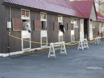 ノーザンホースパークに投稿された画像（2023/11/11）