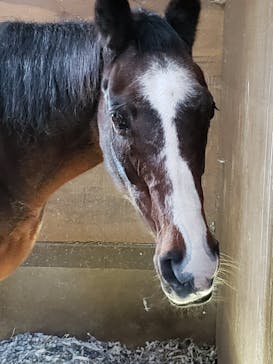 ノーザンホースパークに投稿された画像（2023/11/11）