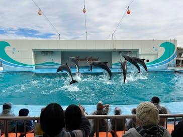 南知多ビーチランド＆南知多おもちゃ王国に投稿された画像（2023/11/11）