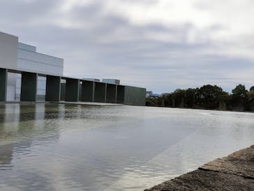 豊田市美術館に投稿された画像（2023/11/11）