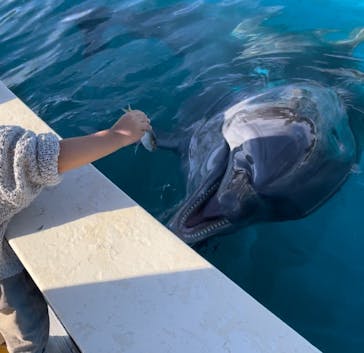 南知多ビーチランド＆南知多おもちゃ王国に投稿された画像（2023/11/11）