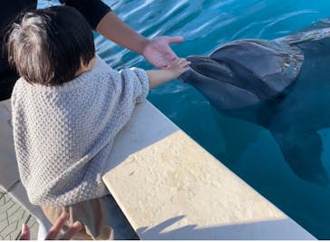 南知多ビーチランド＆南知多おもちゃ王国に投稿された画像（2023/11/11）