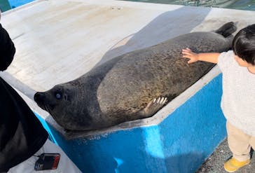 南知多ビーチランド＆南知多おもちゃ王国に投稿された画像（2023/11/11）