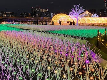 東京メガイルミに投稿された画像（2023/11/11）