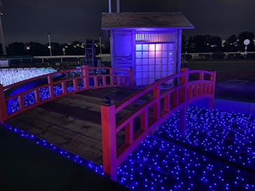 東京メガイルミに投稿された画像（2023/11/11）