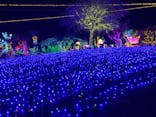 伊豆ぐらんぱる公園に投稿された画像（2023/11/12）