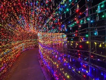 伊豆ぐらんぱる公園に投稿された画像（2023/11/11）