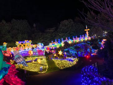 伊豆ぐらんぱる公園に投稿された画像（2023/11/11）