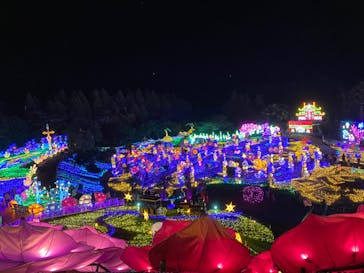 伊豆ぐらんぱる公園に投稿された画像（2023/11/11）