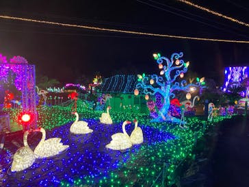 伊豆ぐらんぱる公園に投稿された画像（2023/11/11）