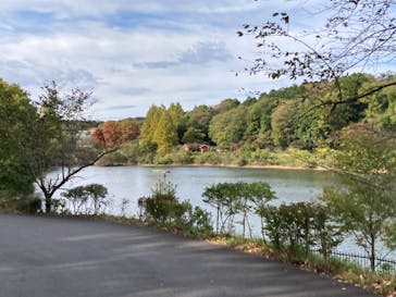 ムーミンバレーパークに投稿された画像（2023/11/11）