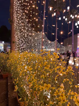 ひらかたパークに投稿された画像（2023/11/11）