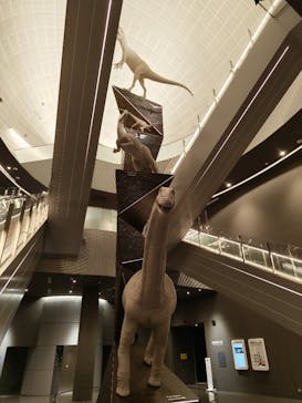 福井県立恐竜博物館に投稿された画像（2023/11/11）